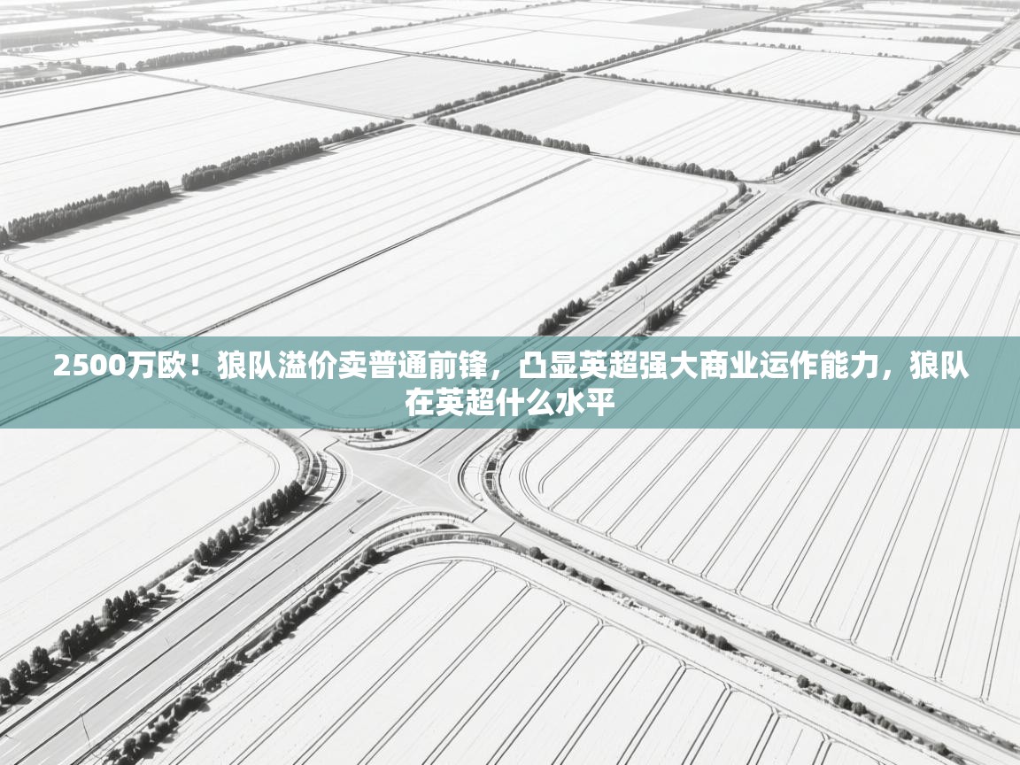 蓝鲸体育直播tv版-2500万欧!狼队溢价卖普通前锋,凸显英超强大商业运作能力,狼队在英超什么水平 第2张