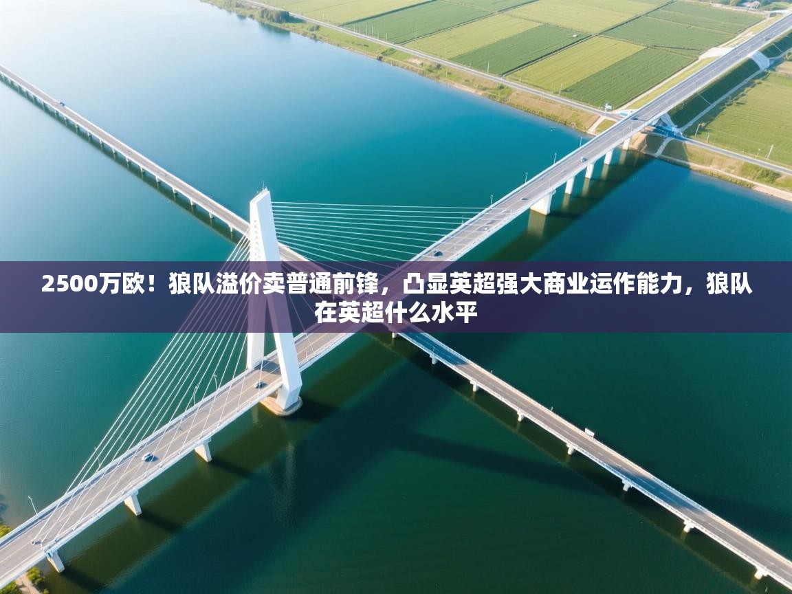 蓝鲸体育直播tv版-2500万欧!狼队溢价卖普通前锋,凸显英超强大商业运作能力,狼队在英超什么水平 第3张