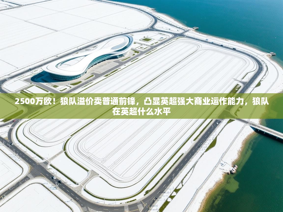 蓝鲸体育直播tv版-2500万欧!狼队溢价卖普通前锋,凸显英超强大商业运作能力,狼队在英超什么水平 第4张