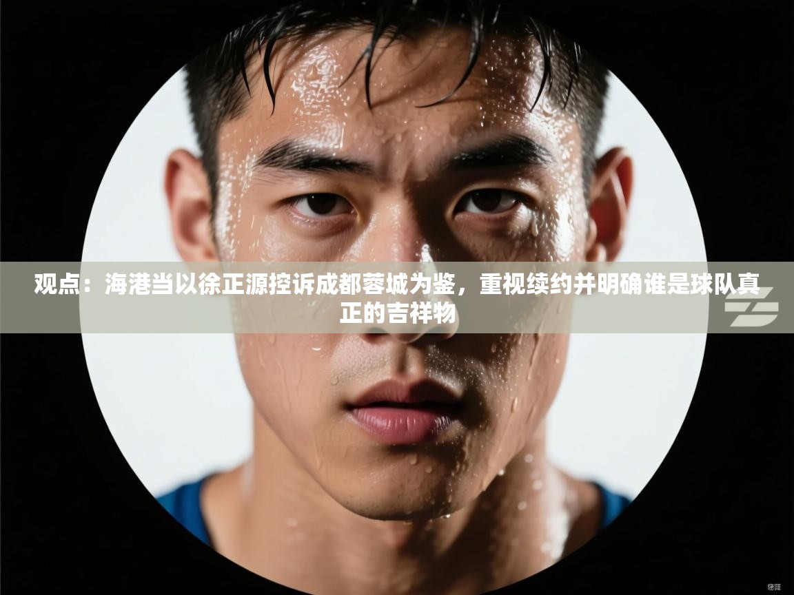 蓝鲸体育app电脑-观点:海港当以徐正源控诉成都蓉城为鉴,重视续约并明确谁是球队真正的吉祥物 第3张