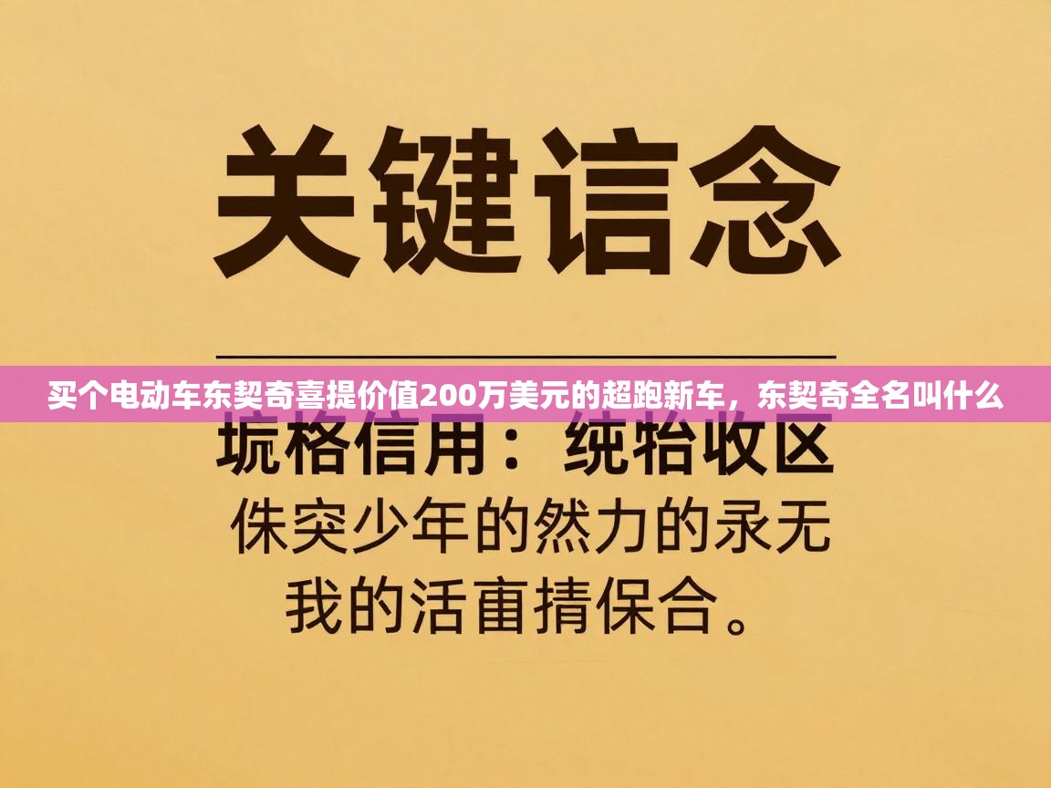 蓝鲸体育足球直播在线观看-买个电动车东契奇喜提价值200万美元的超跑新车，东契奇全名叫什么  第2张
