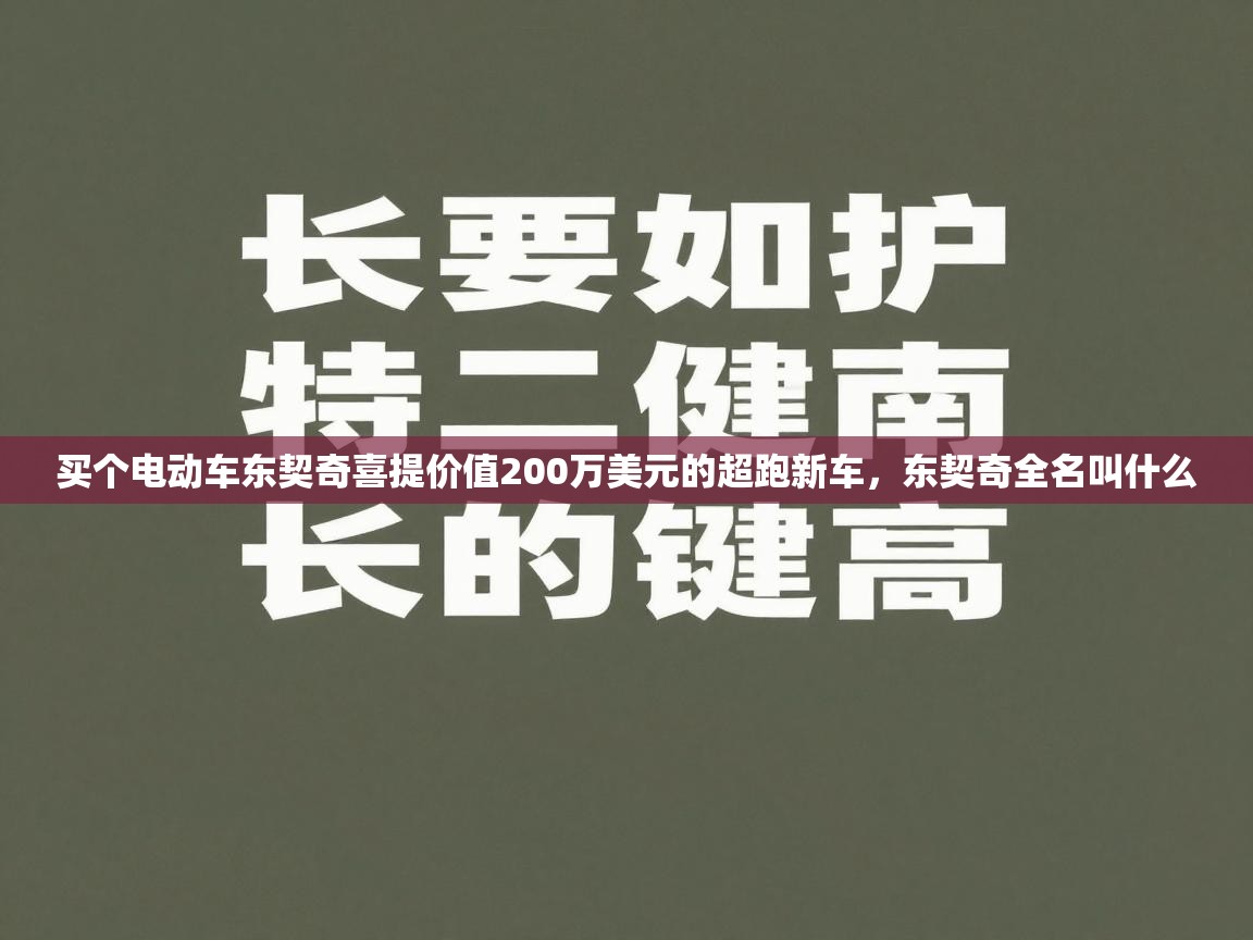 蓝鲸体育足球直播在线观看-买个电动车东契奇喜提价值200万美元的超跑新车，东契奇全名叫什么  第4张