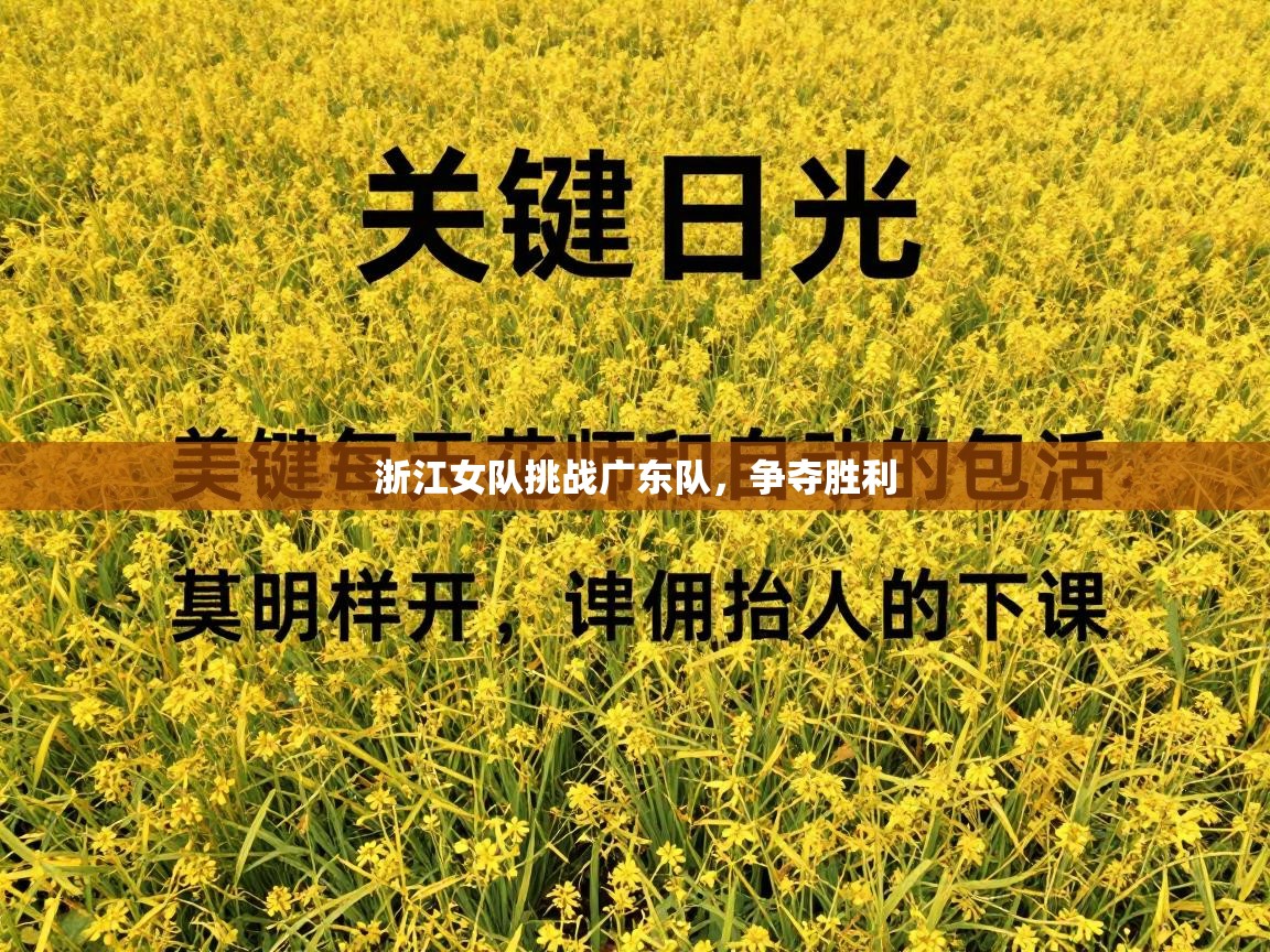 蓝鲸体育足球直播-浙江女队挑战广东队，争夺胜利  第2张