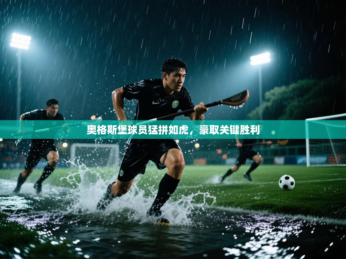 蓝鲸体育app-奥格斯堡球员猛拼如虎，豪取关键胜利  第3张