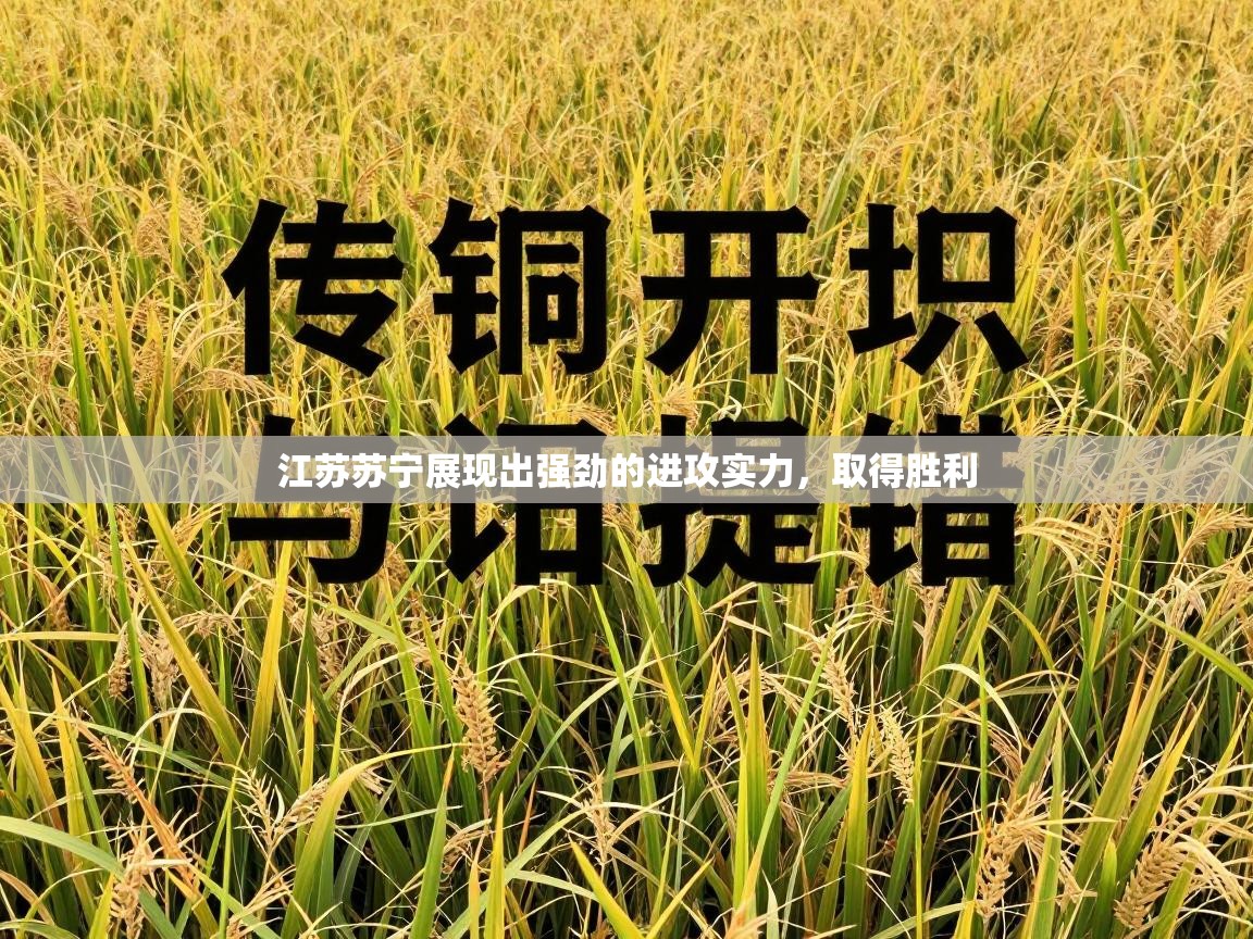 鲸蓝体育官网-江苏苏宁展现出强劲的进攻实力，取得胜利  第2张