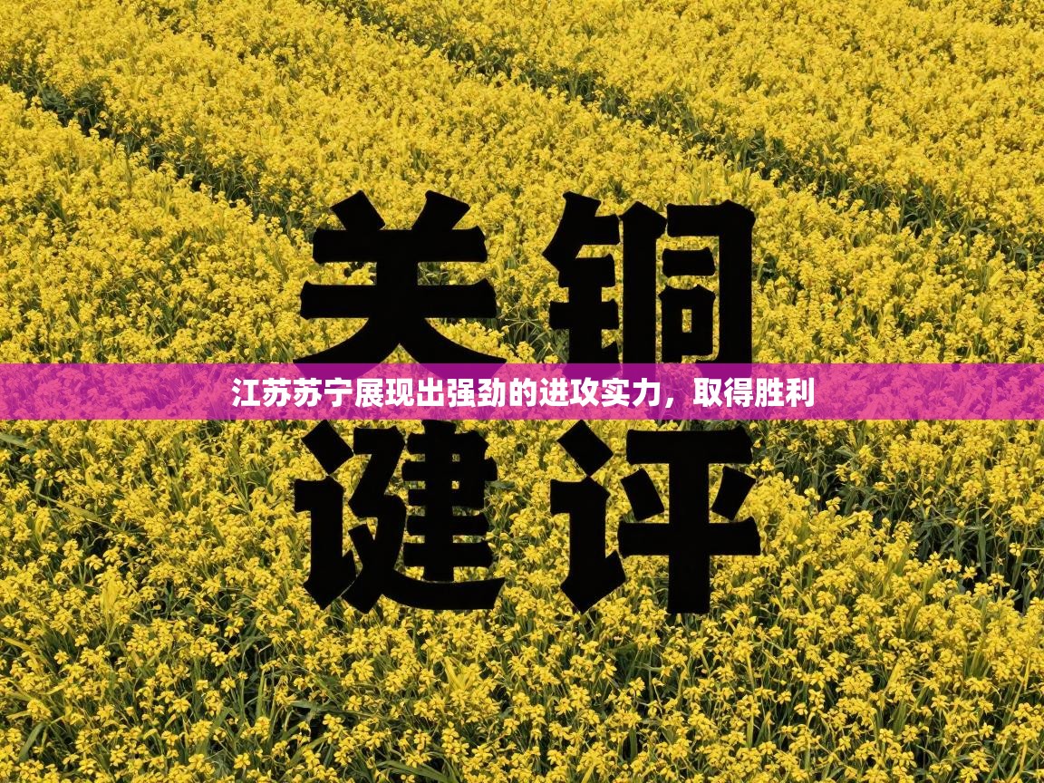 鲸蓝体育官网-江苏苏宁展现出强劲的进攻实力，取得胜利  第3张