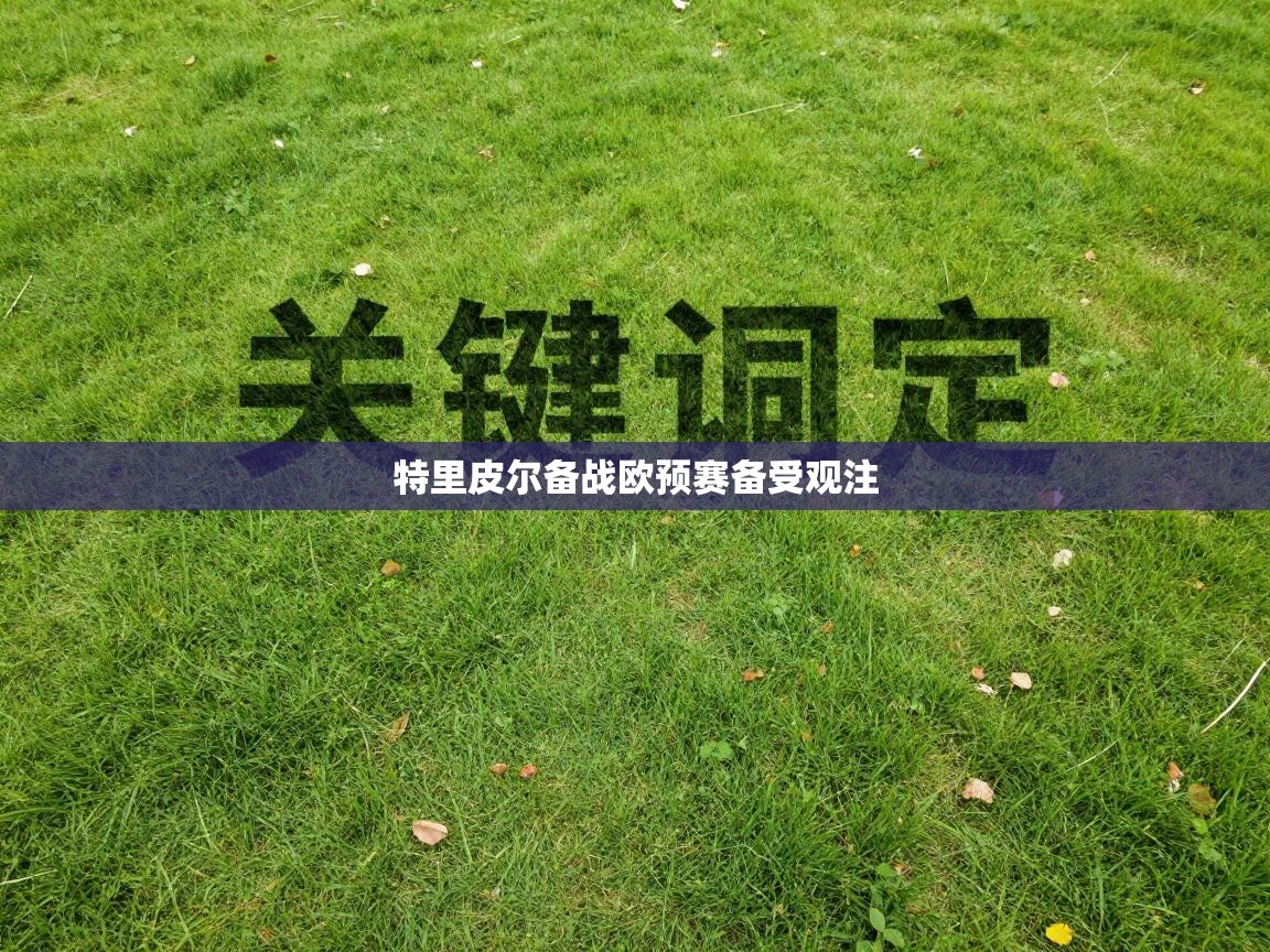 蓝鲸体育app安卓版-特里皮尔备战欧预赛备受观注 第4张