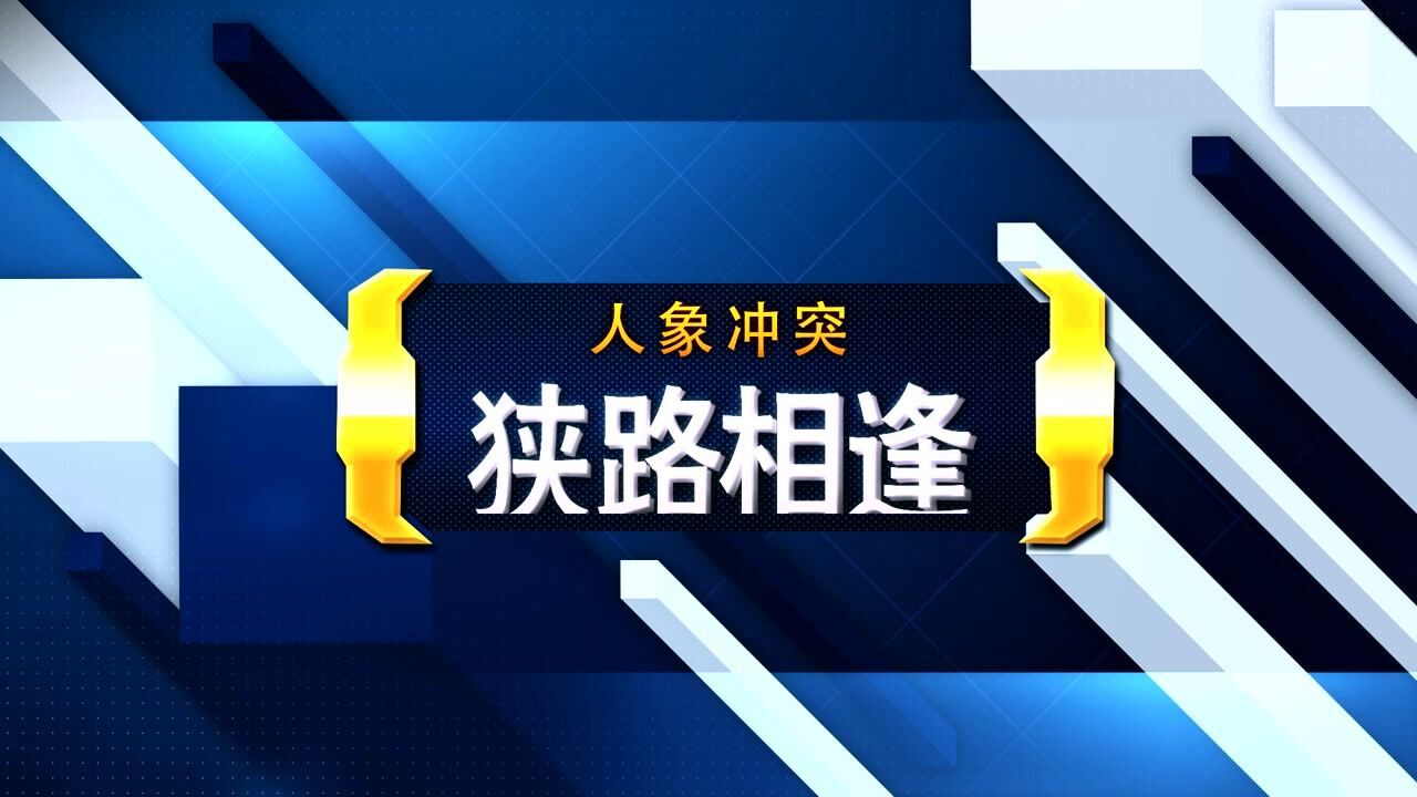 广发体育网页版-关于纷争全面发生，狭路相逢的故事即将上演的信息