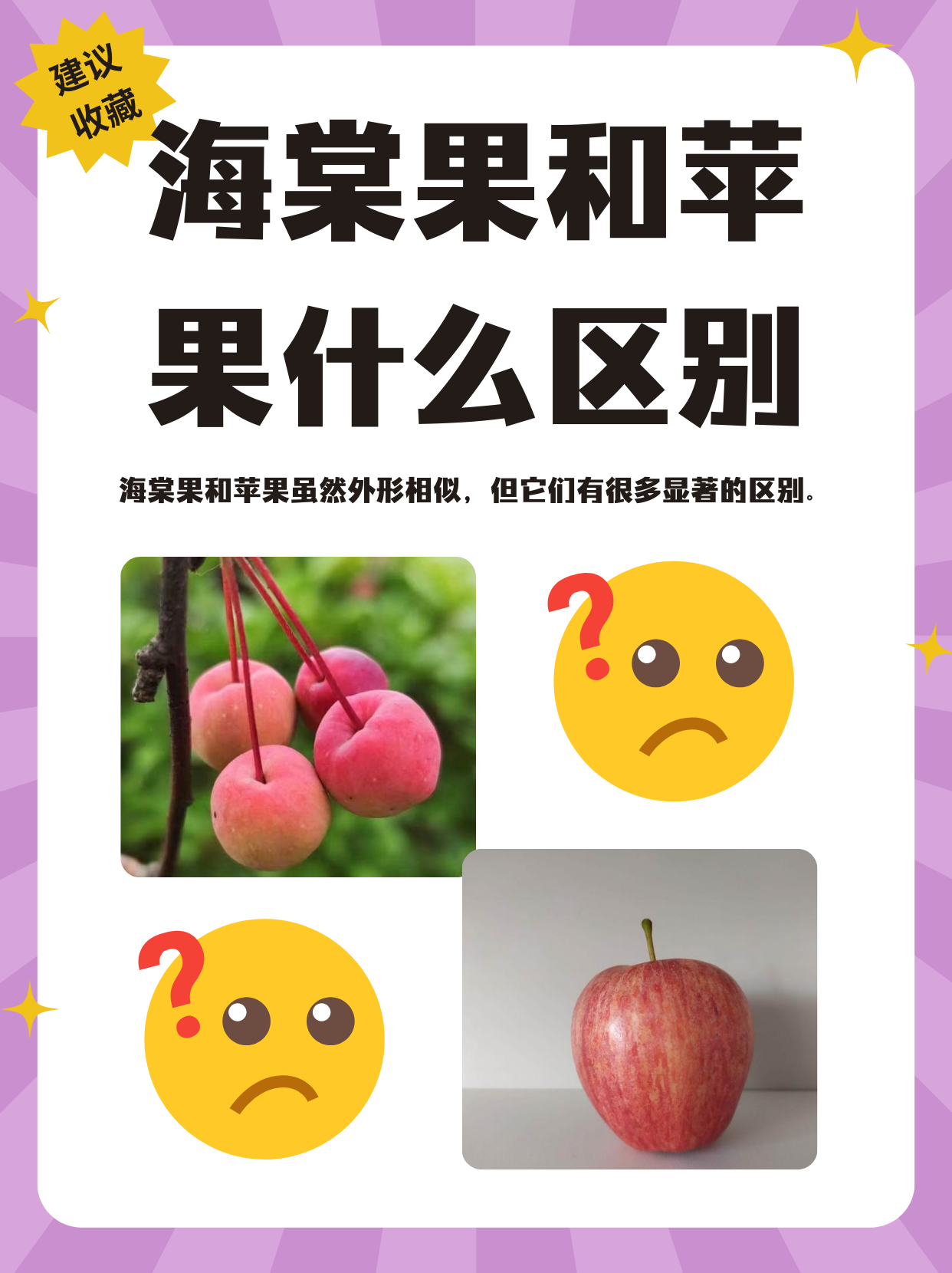 苹果和葡萄的差异，少数人意识到的的简单介绍